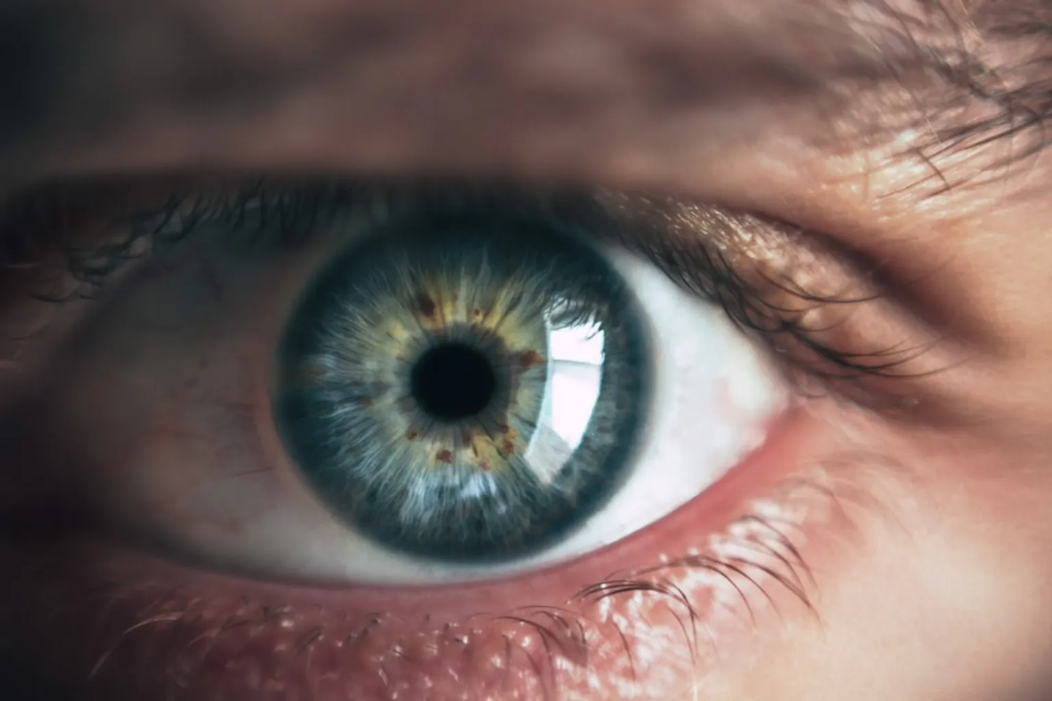 Lentes EDOF: por qué ganan terreno a las multifocales